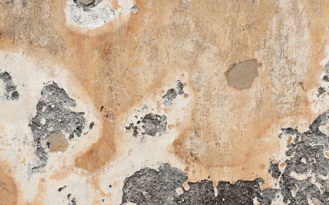 How can you best deal with mold in your property? (Portugal)