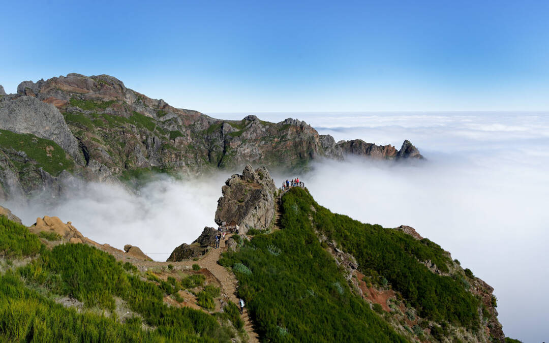 Madeira’s Record Foreign Residents: A Deep Dive into the Changing Demographics